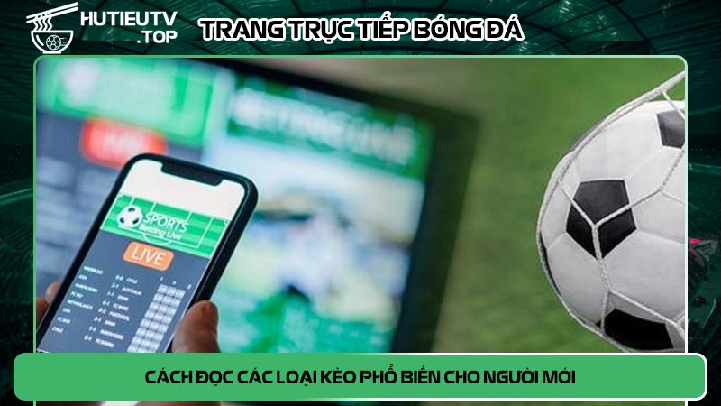 Cách đọc các loại kèo phổ biến cho người mới