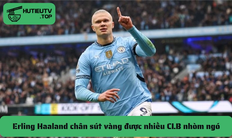 Erling Haaland chân sút vàng được nhiều CLB nhòm ngó - Ảnh số 5 Erling Haaland chân sút vàng được nhiều CLB nhòm ngó